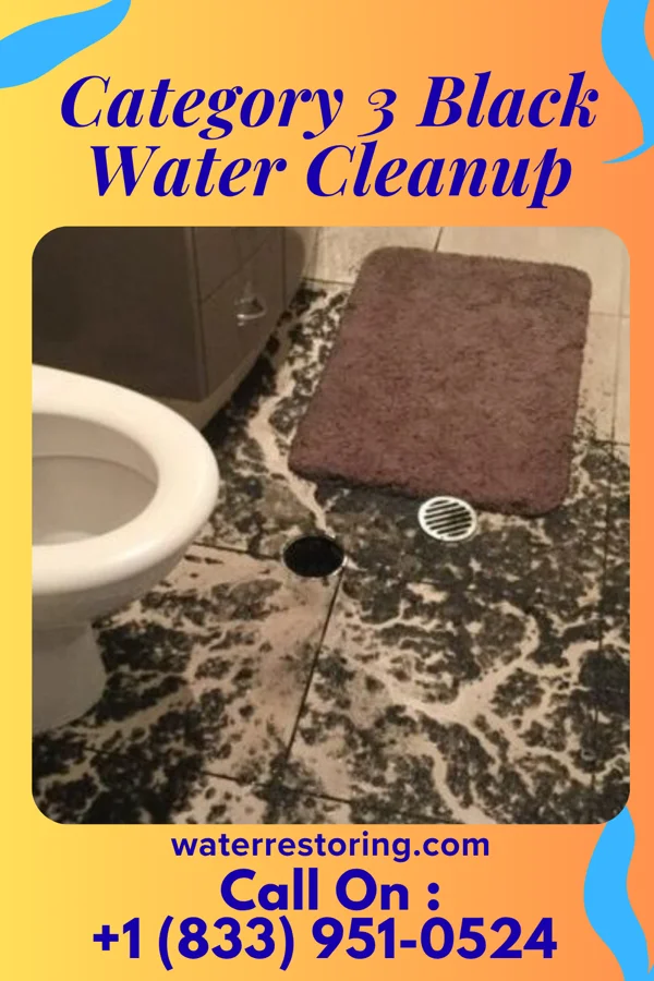 Category 3 Black Water Cleanup in Sisco Heights, WA