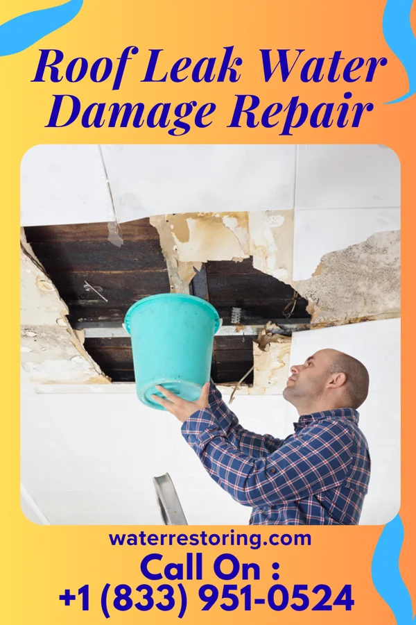 Roof Leak Water Damage Repair in Sisco Heights, WA