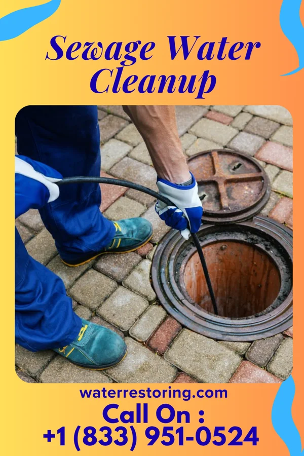 Sewage Water Cleanup in Sisco Heights, WA